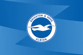BRIGHTON AND HOVE ALBION PLAYER ARRESTED ON SUSPICION OF SEXUAL ASSAULT AFTER POLICE INVESTIGATION 